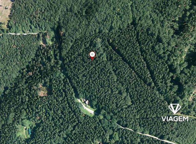 Prodej podílu lesa, Morávka, 5587 m2