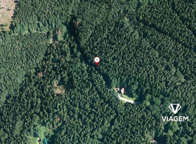 Prodej podílu lesa, Morávka, 2066 m2