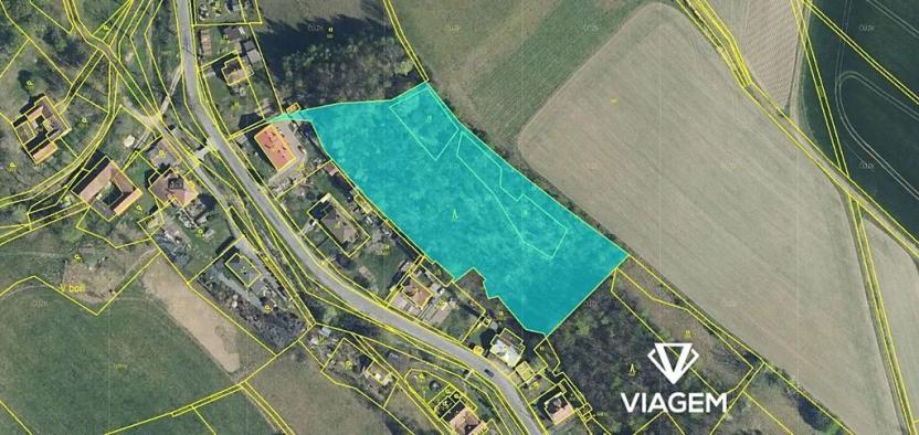 Prodej lesa, Trstěnice, 9612 m2