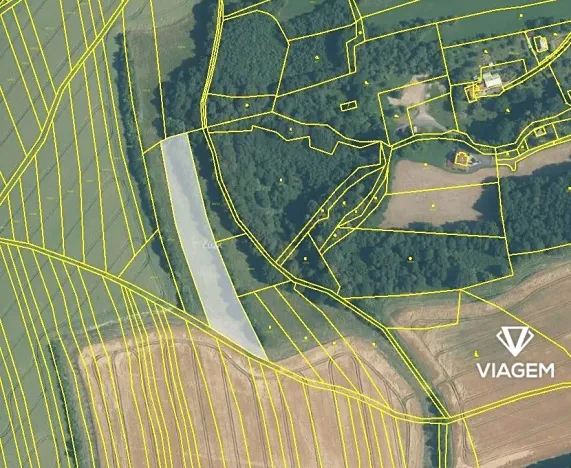 Prodej podílu pole, Poličná, 1393 m2