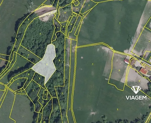 Prodej podílu lesa, Třinec, 982 m2