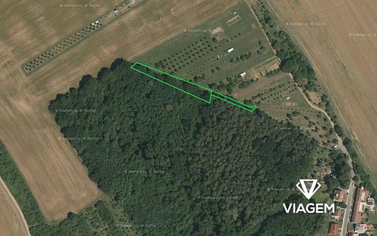 Prodej podílu lesa, Březolupy, 446 m2