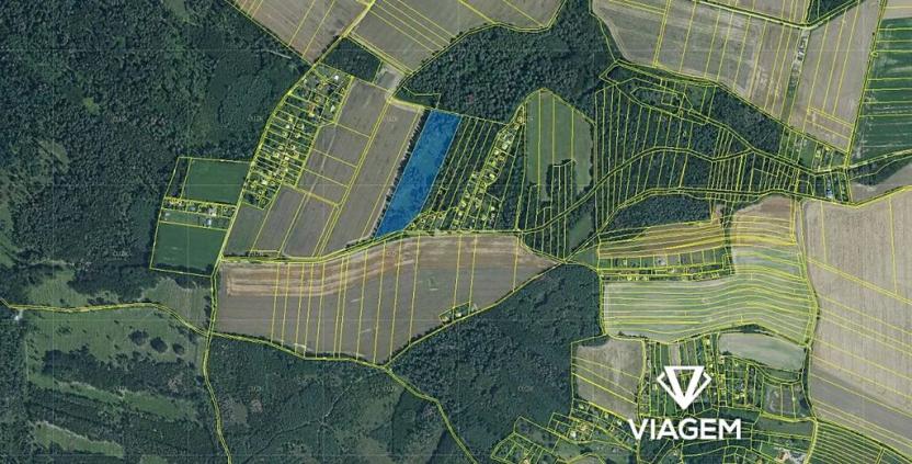 Prodej podílu lesa, Prostějov, 3013 m2