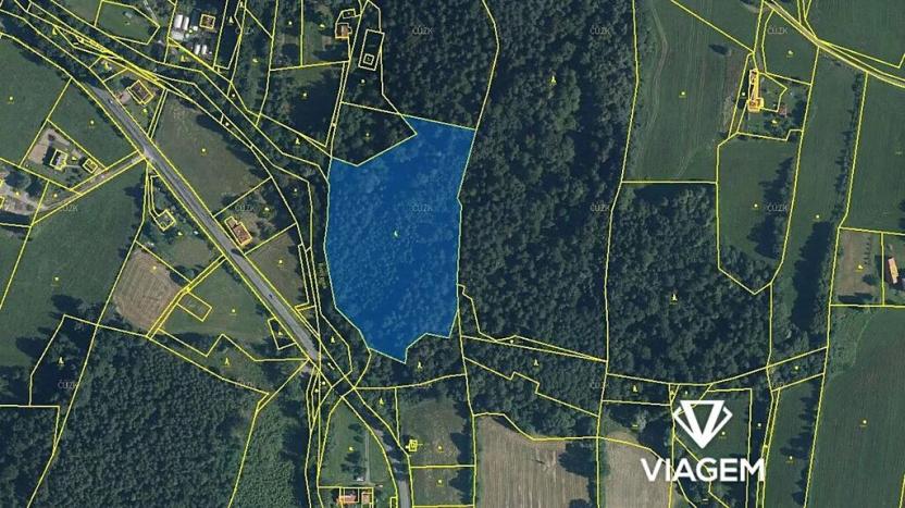 Prodej podílu lesa, Janovice, 1420 m2