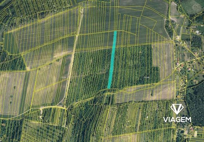 Prodej podílu pole, Osvětimany, 1834 m2