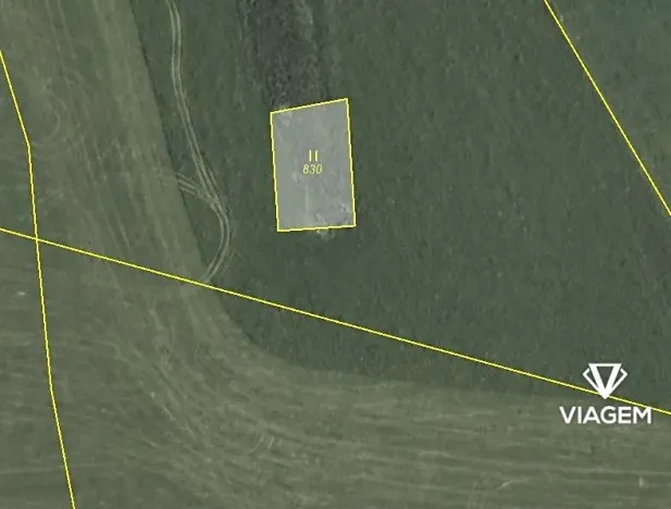 Prodej podílu lesa, Těchonín, 451 m2