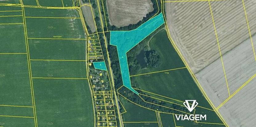 Prodej podílu lesa, Kožušany-Tážaly, 2098 m2