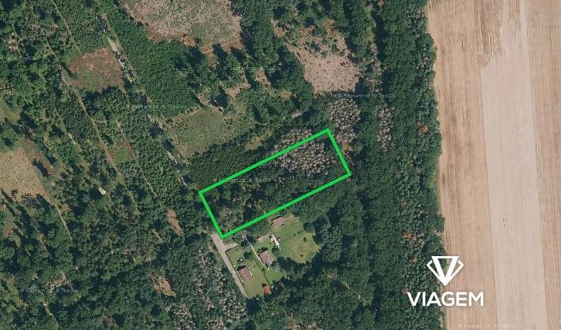 Prodej podílu lesa, Břehov, 3796 m2