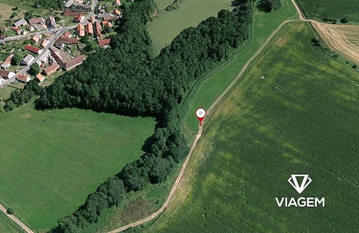 Prodej podílu lesa, Únějovice, 880 m2