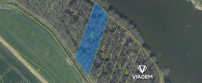 Prodej podílu lesa, Únějovice, 880 m2