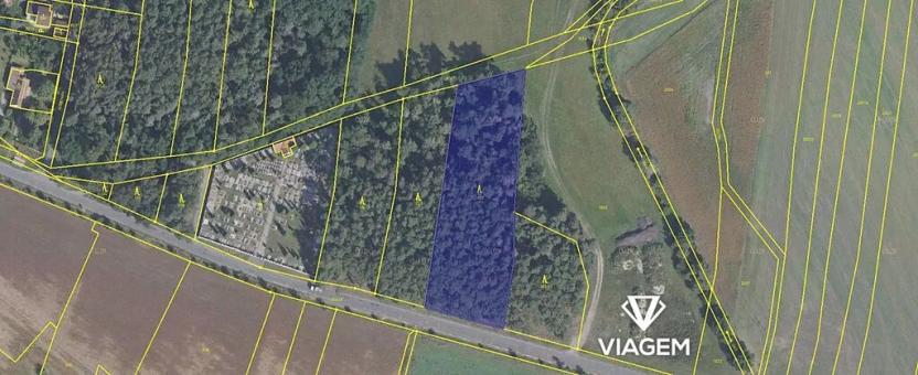 Prodej podílu lesa, Sokoleč, 884 m2