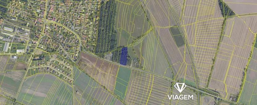 Prodej podílu lesa, Sokoleč, 884 m2