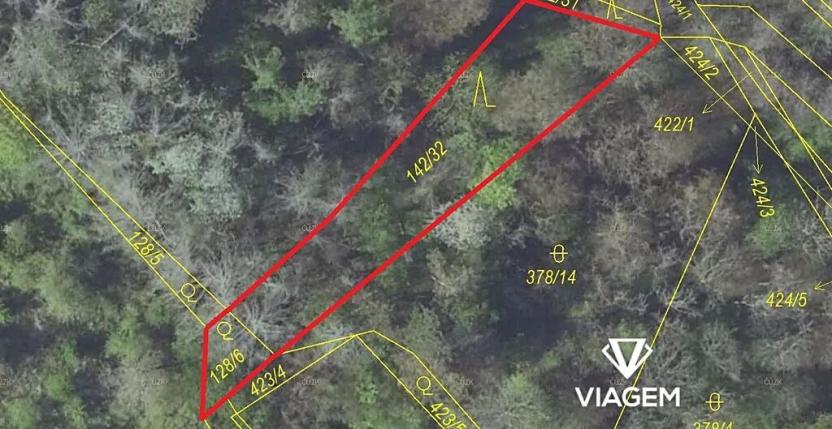 Prodej lesa, Pašinka, 606 m2