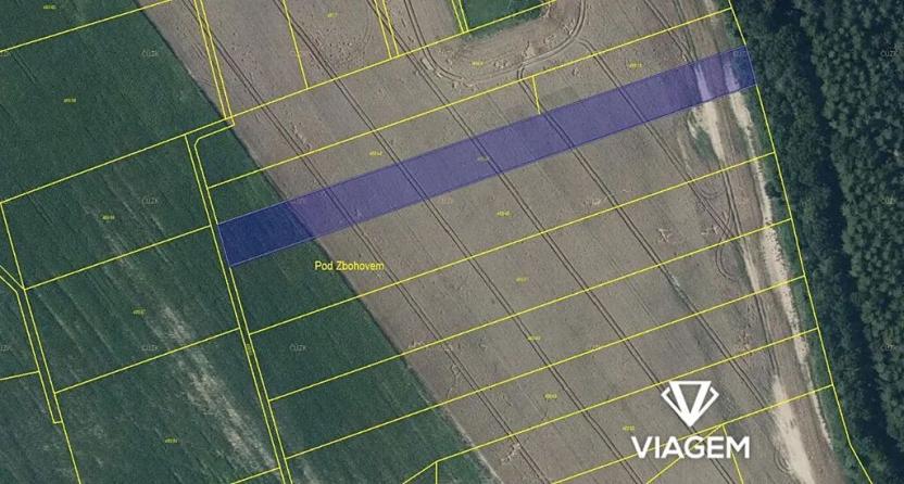 Prodej podílu pole, Běstvina, 558 m2