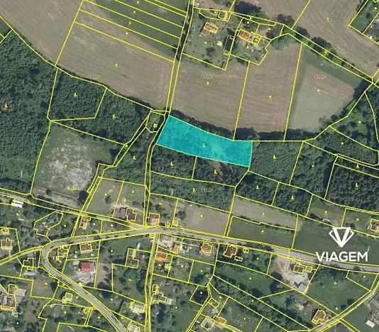 Prodej podílu lesa, Skuhrov, 1301 m2