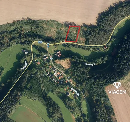 Prodej lesa, Nové Hrady, 3866 m2