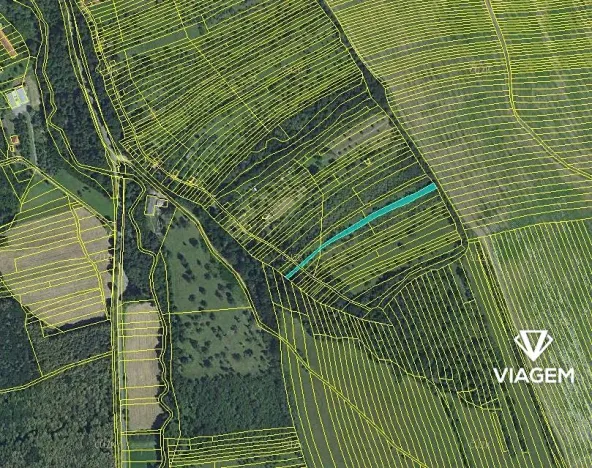 Prodej podílu zahrady, Veletiny, 306 m2