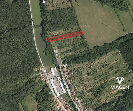 Prodej podílu lesa, Veletiny, 393 m2