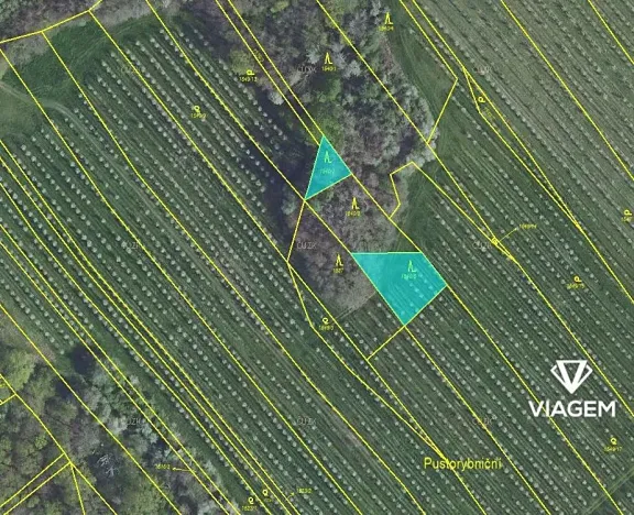 Prodej podílu lesa, Semtěš, 375 m2