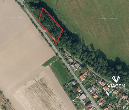 Prodej lesa, Zámrsk, 2073 m2