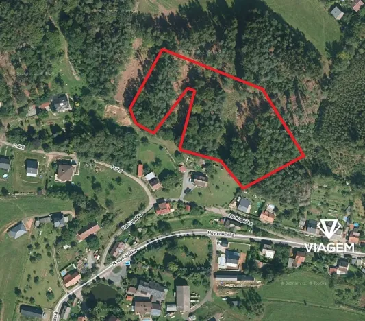 Prodej podílu lesa, Náchod, 6349 m2