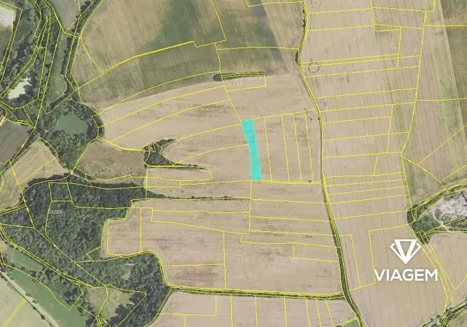 Prodej podílu pole, Dobříč, 328 m2