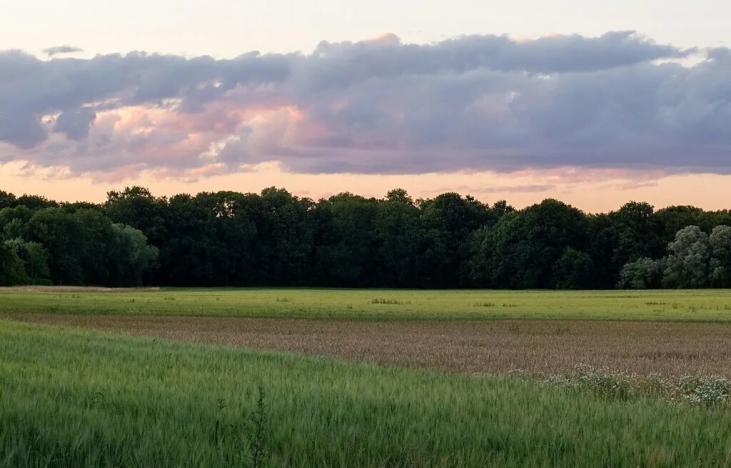 Prodej podílu pole, Oráčov, 1572 m2