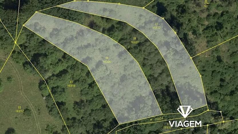 Prodej pole, Obora, 7758 m2