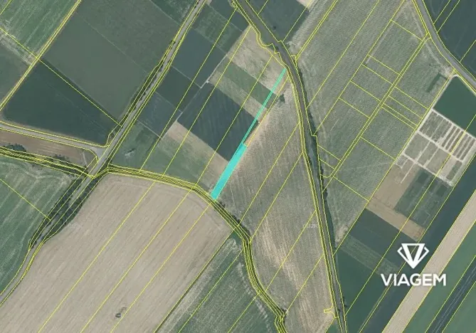 Prodej podílu pole, Hladké Životice, 998 m2