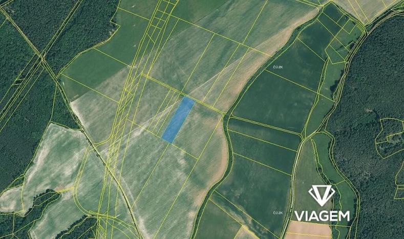 Prodej pole, Plasy, 7205 m2