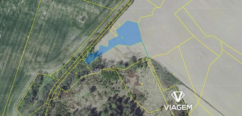 Prodej lesa, Zbýšov, 2800 m2