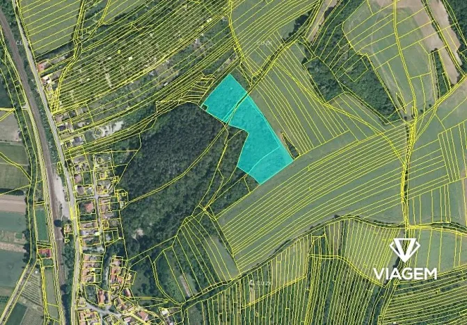 Prodej podílu pole, Kyjov, 1403 m2