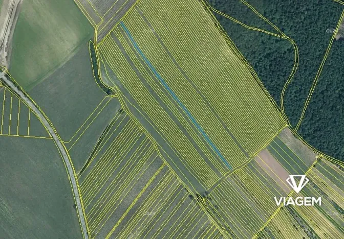 Prodej podílu pole, Starý Poddvorov, 1011 m2