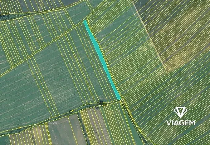 Prodej podílu pole, Ořechov, 2391 m2