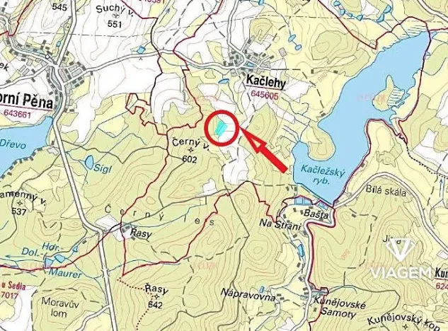 Prodej lesa, Kačlehy, 5447 m2