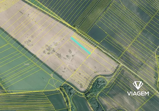 Prodej podílu pole, Prštice, 779 m2