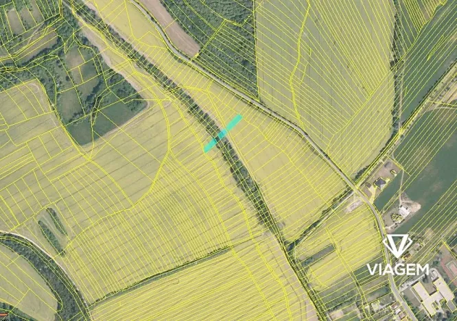 Prodej podílu pole, Traplice, 913 m2