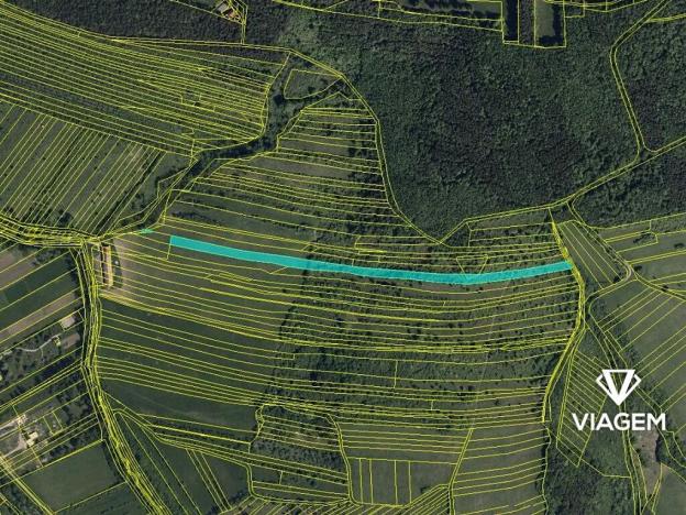 Prodej podílu pole, Velká nad Veličkou, 4729 m2