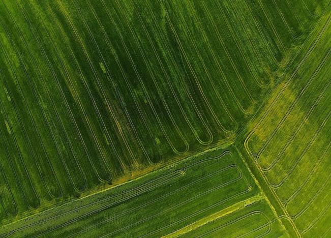 Prodej podílu pole, Oleška, 3426 m2