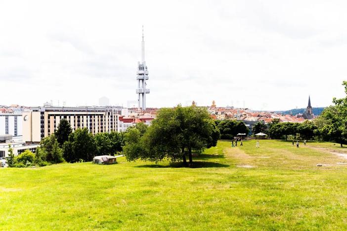 Prodej bytu 2+1, Praha - Žižkov, Biskupcova, 72 m2