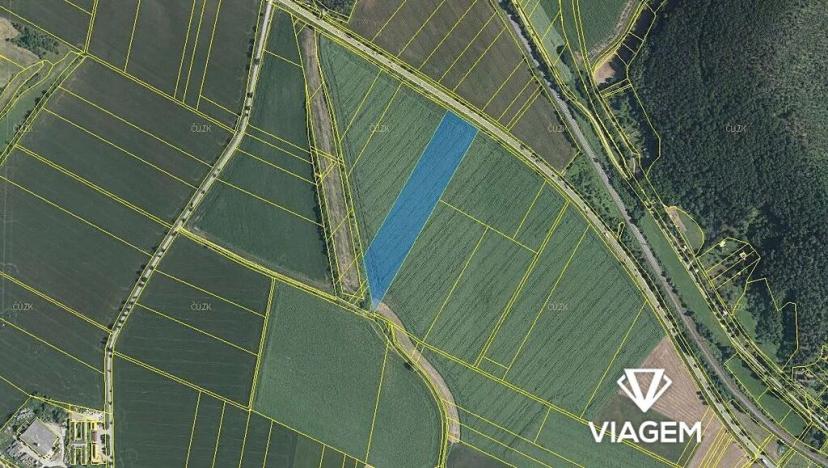 Prodej pole, Moravské Knínice, 18234 m2