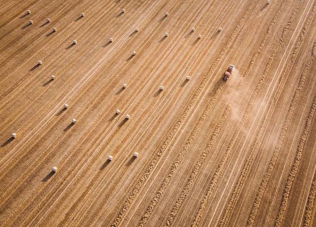 Prodej podílu pole, Mníšek pod Brdy, 5701 m2