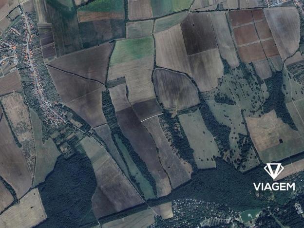 Prodej pole, Kněždub, 1086 m2