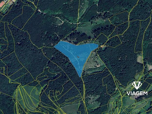 Prodej lesa, Všemina, 36466 m2