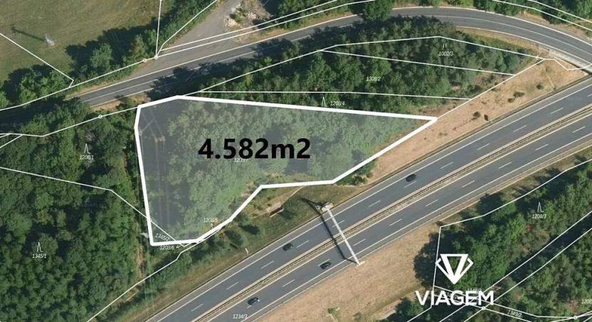 Prodej lesa, Nové Sedlo, 4639 m2