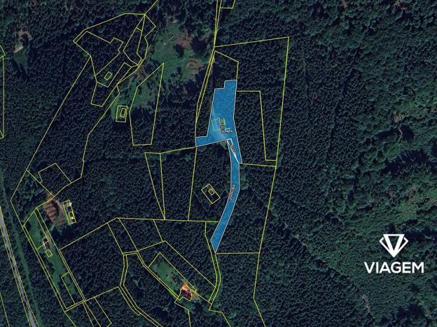 Prodej podílu lesa, Morávka, 886 m2