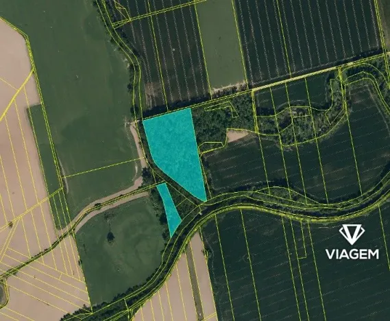 Prodej lesa, Opava, 25368 m2