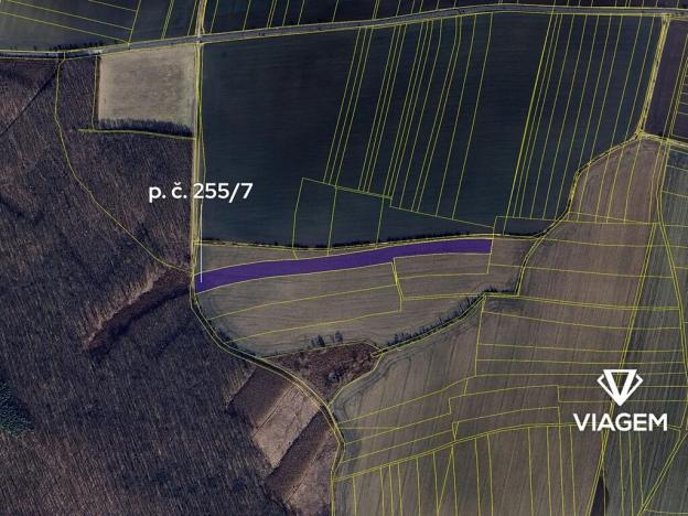 Prodej podílu pole, Nový Bydžov, 241 m2