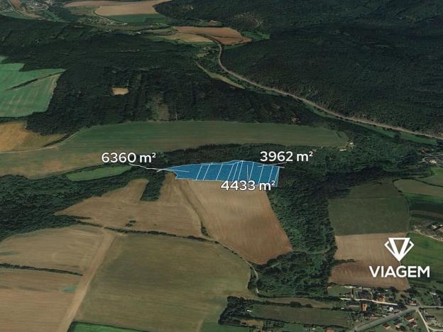 Prodej podílu lesa, Chlum, 1915 m2