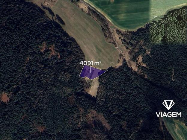 Prodej lesa, Březina, 4091 m2